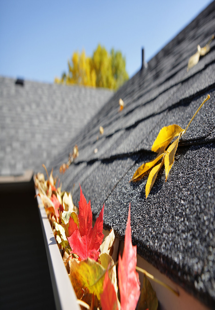 roof installation service in East York